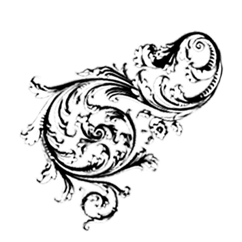 #2548 - Flourish Curl - Flourish